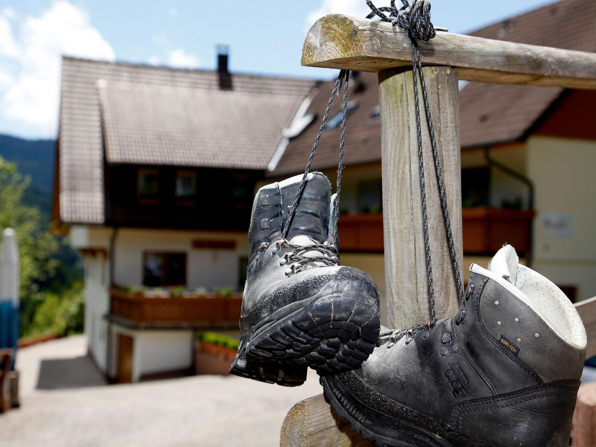 Paradies im Schwarzwald Bad Peterstal-Griesbach Zewnętrze zdjęcie