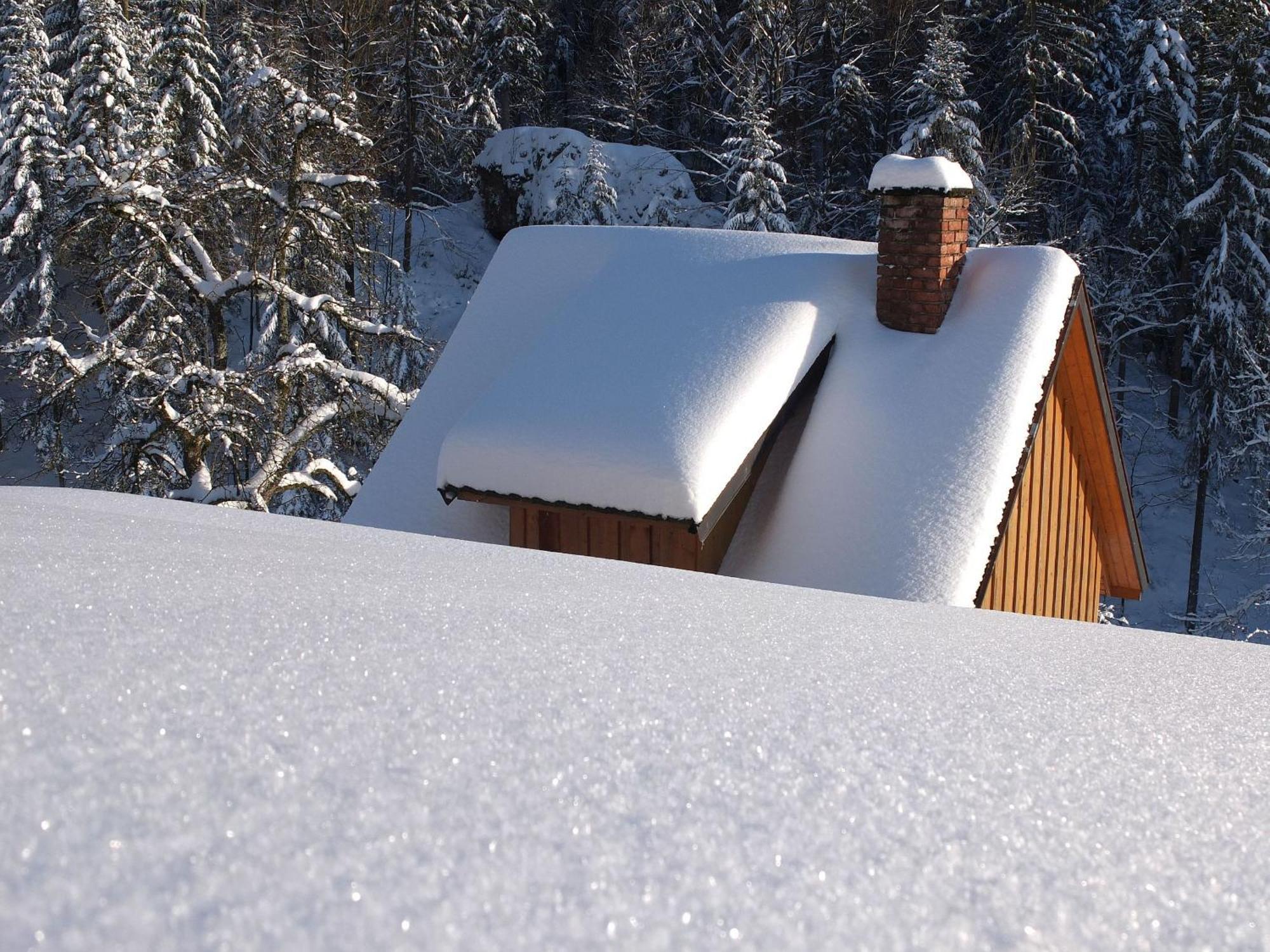 Paradies im Schwarzwald Bad Peterstal-Griesbach Zewnętrze zdjęcie