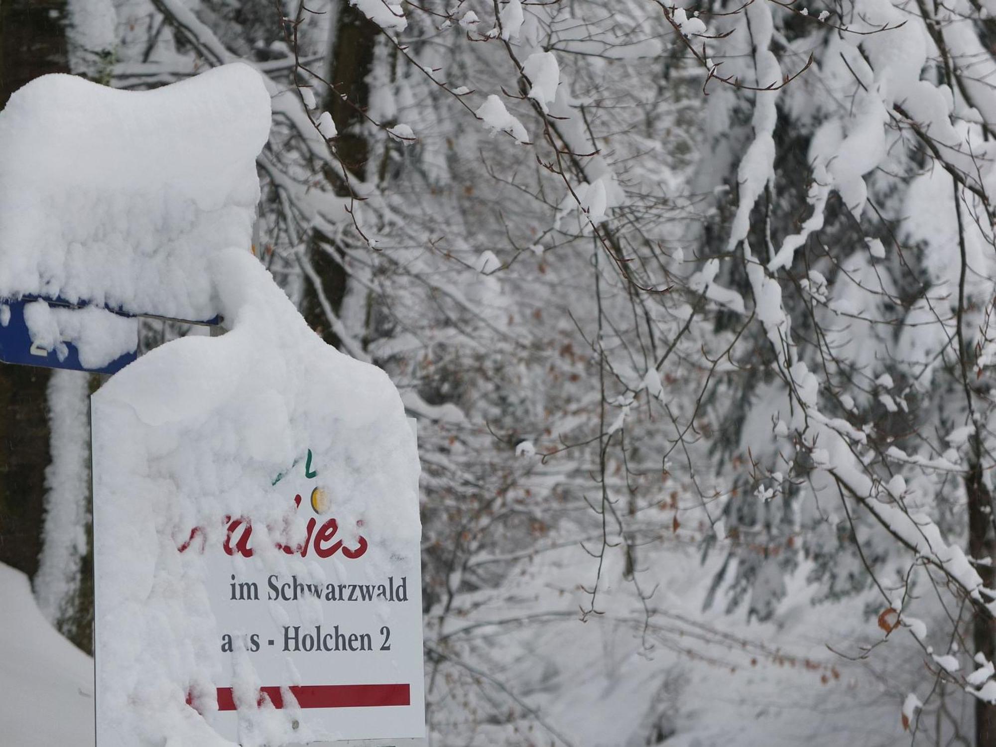Paradies im Schwarzwald Bad Peterstal-Griesbach Zewnętrze zdjęcie