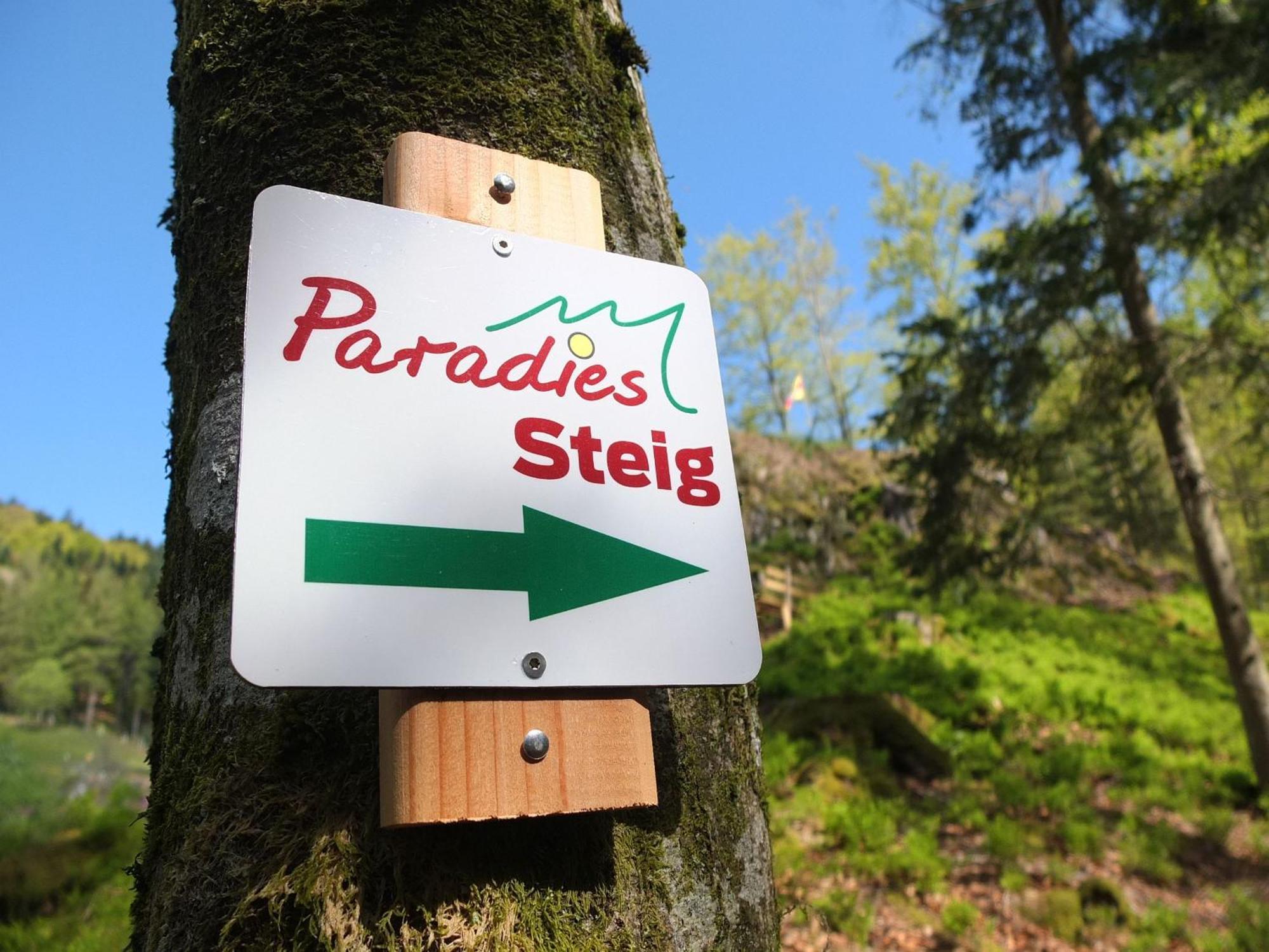 Paradies im Schwarzwald Bad Peterstal-Griesbach Zewnętrze zdjęcie